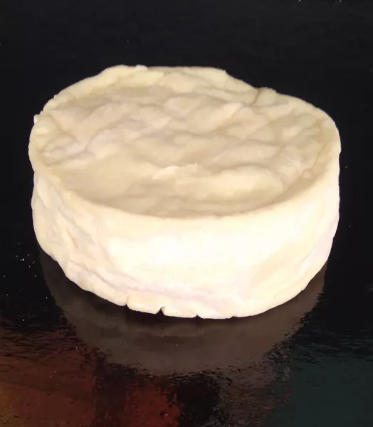 Camembert Fermier Bio